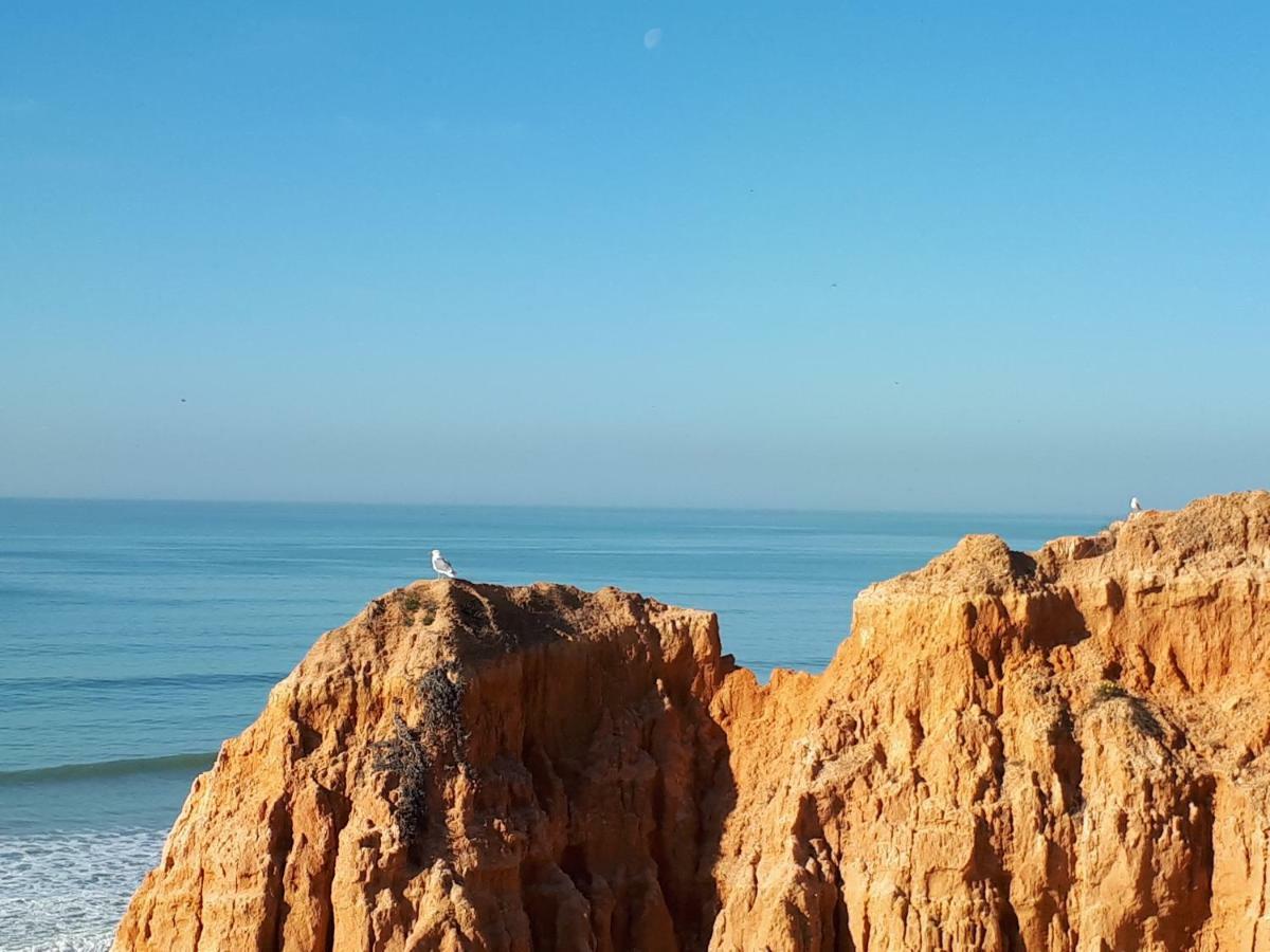 Apartamento Albufeira 6 B Eksteriør billede
