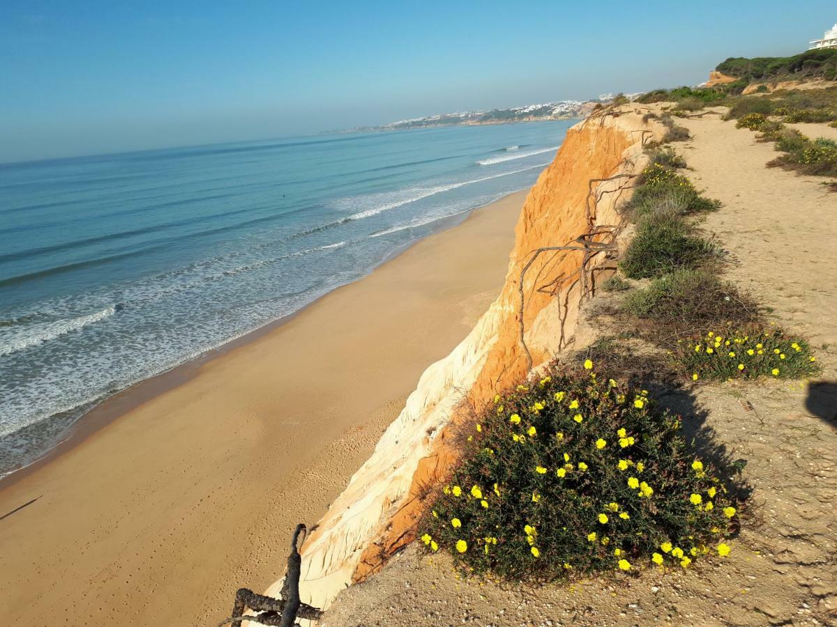 Apartamento Albufeira 6 B Eksteriør billede