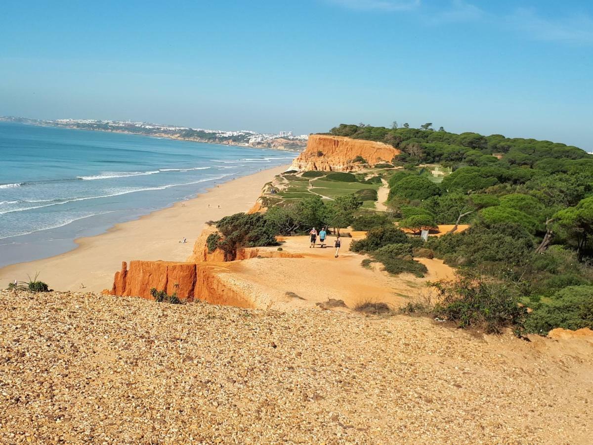 Apartamento Albufeira 6 B Eksteriør billede