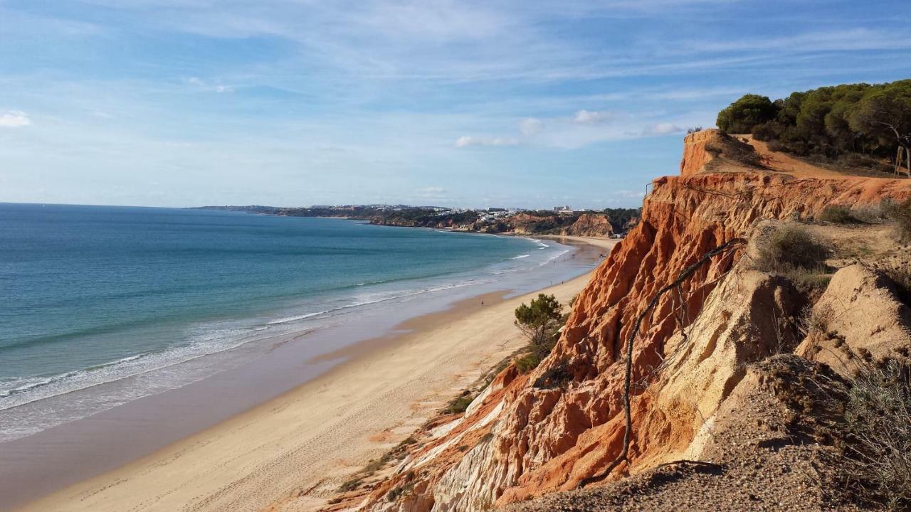 Apartamento Albufeira 6 B Eksteriør billede